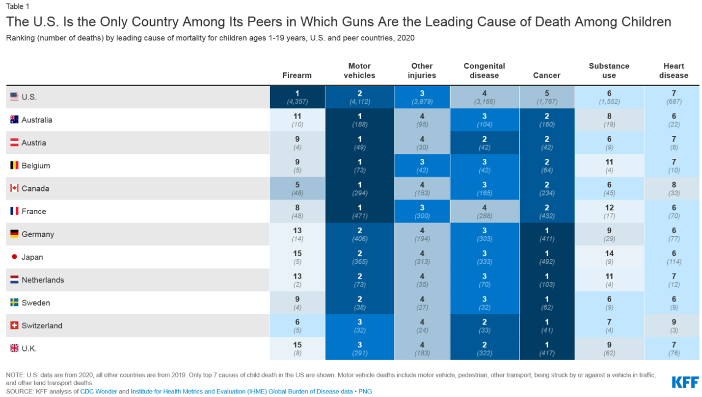 The Externalities Effect of Child Firearm Fatalities in the States